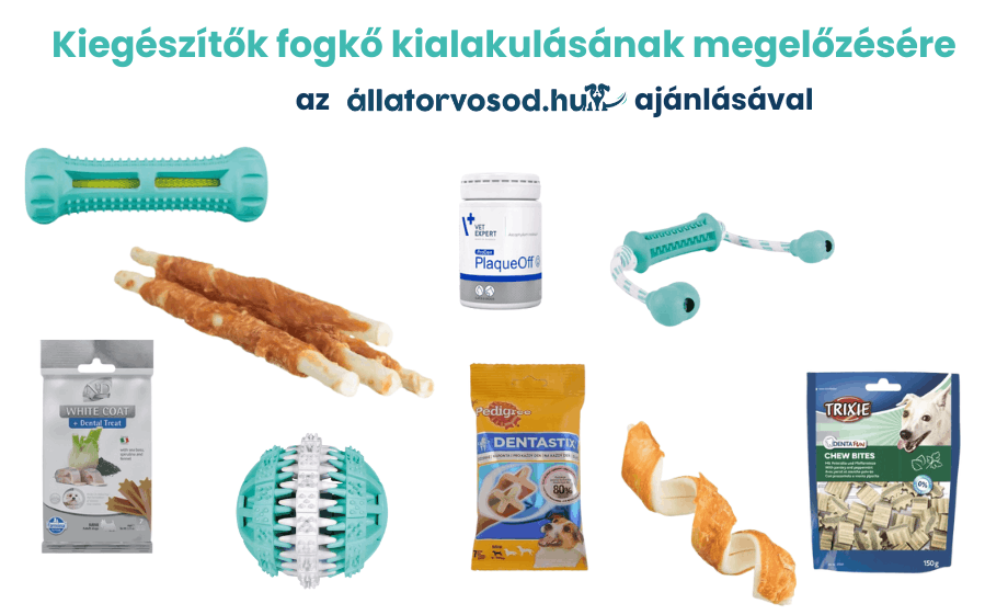 Kiegészítők fogkő kialakulásának megelőzésére